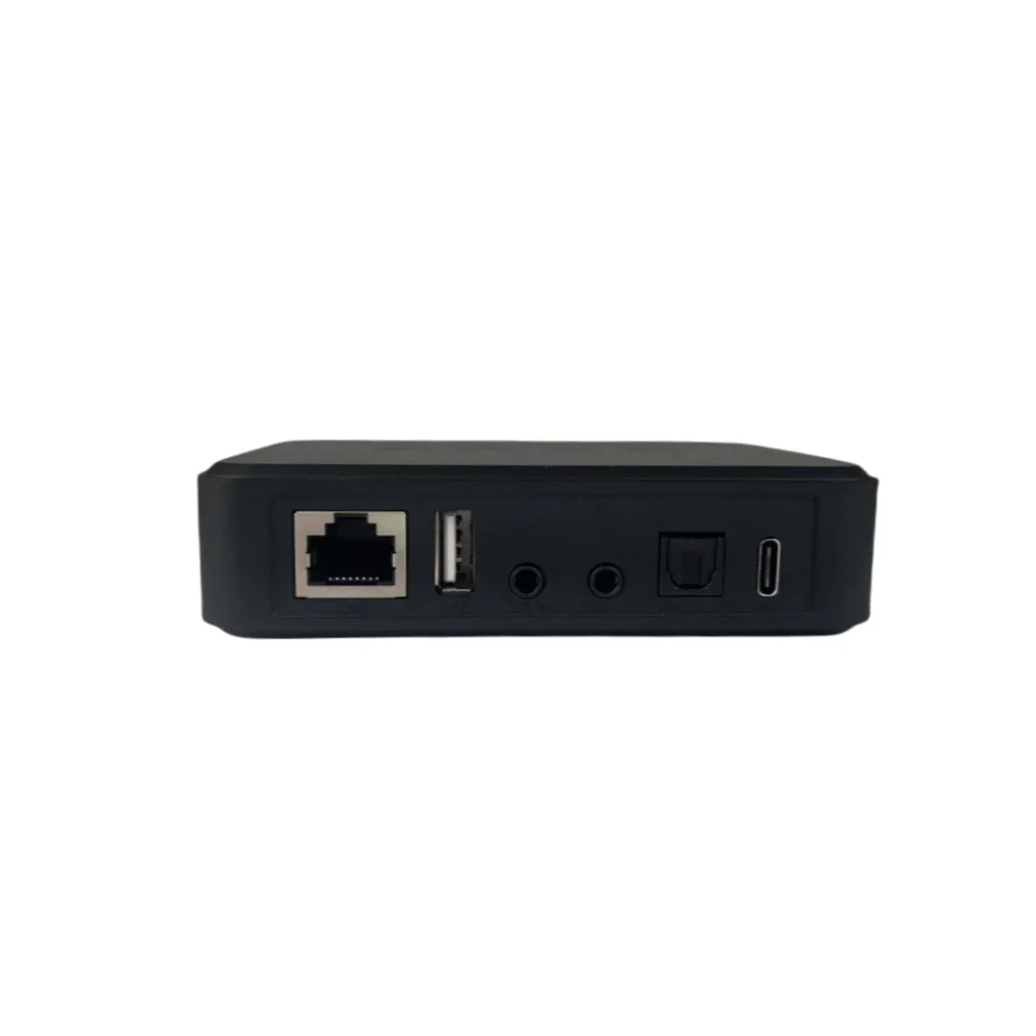 Arylic LP10 Wireless Music Str - Audio Music Google review and price
